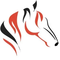 Digital Polo, Inc. Digital Polo, Inc.