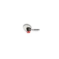 GD Goenka Public School Ghaziabad GD Goenka Public School Ghaziabad