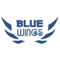 BLUEWINGS HR CONSULTANCY