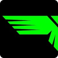 Best American Amusement Group