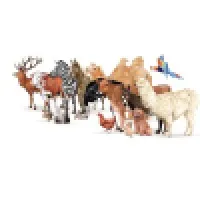 A-Z ANIMALS