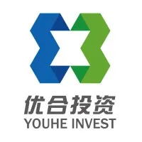 Youhe Invest LLC