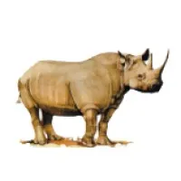 Rhino Investment Partners