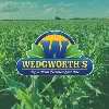 Wedgworth's Inc Wedgworth's Inc