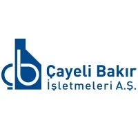 Çayeli Bakır İşletmeleri A.Ş. email format
