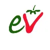 Edward Vinson Ltd Edward Vinson Ltd
