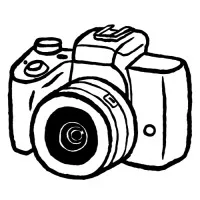 Freelance Photography