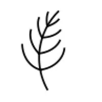 Yarrow Consulting