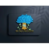 BluePapers Fintech BluePapers Fintech