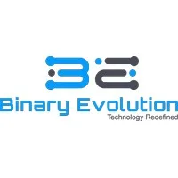 Binary Evolution