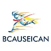 BCAUSEICAN INC BCAUSEICAN INC