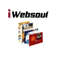 iWebsoul - Intrepid Websoul Pvt. Ltd.