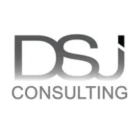 DSJ CONSULTING DSJ CONSULTING