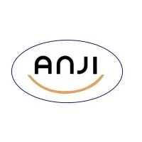 ANJI ENGINEERING SOLUTIONS PRIVATE LIMITED