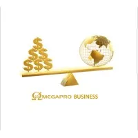Omegapro Business