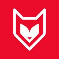 Feisty Fox Coaching