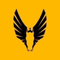 Pegasus - FSAE Pegasus - FSAE