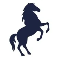 MACH - Accountants & Advisors