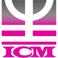 ICM Consulting ICM Consulting