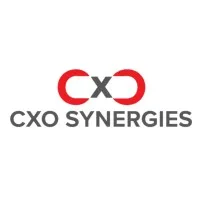 CxO Synergies CxO Synergies