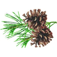 La Crosse Graphics Inc.