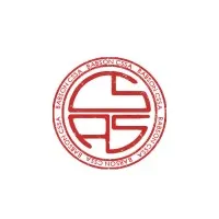 Babson CSSA Babson CSSA