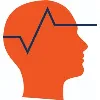 BRAIN VISION LLC BRAIN VISION LLC