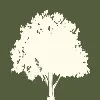 Birch Financial Partners Birch Financial Partners