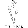 Tulipan 1637 Tulipan 1637
