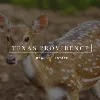 Texas Providence Real Estate Texas Providence Real Estate