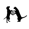 Acredale Animal Hospital Acredale Animal Hospital
