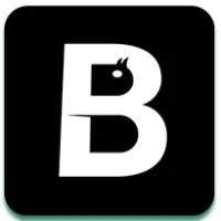 Brushe Studio