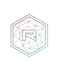Ronin Asset Protection