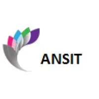 ANSIT INC