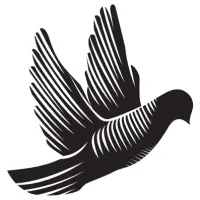 Freda Capital