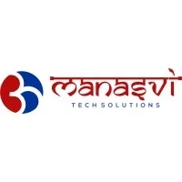Manasvi Tech Solutions Pvt Ltd 