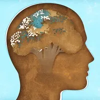 Broccoli Gothenburg, Sweden Broccoli Gothenburg, Sweden