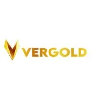 Vergold Digital Hub