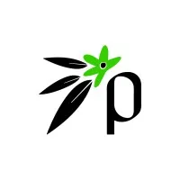 Plant Art