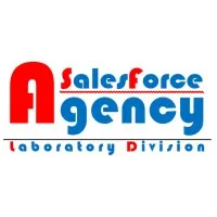 SalesForce Agency