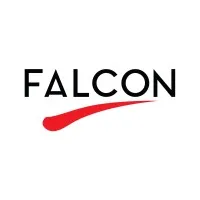 Falcon Incorporation email format