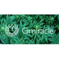 GMIRACLE SAS