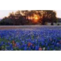 Magnolia Property Management