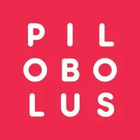 Pilobolus