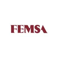 FEMSA email format