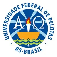 Universidade Federal de Pelotas email format