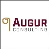 Augur Consulting Augur Consulting