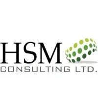 HSM Consulting Ltd.