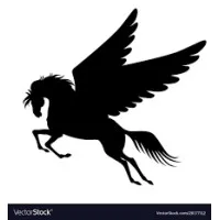 Buraq Buildcon Pvt Ltd