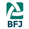 BFJ Financial Group BFJ Financial Group